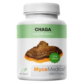 Chaga kapsule - MycoMedica