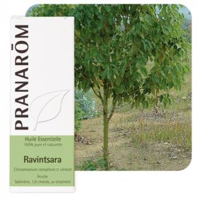 Ravensara - eterično ulje - PRANAROM
